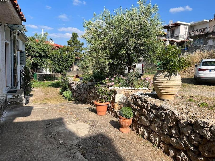 Guesthouse Simou With View 3 Bedrooms Арахова Экстерьер фото
